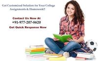 Looking for assignment help service provider on WhatsApp: +91-977-207-8620