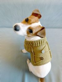 Knitted Mustard Dog Sweater XS size / Dog coat / Dog costume / Dog Clothes. $35.00, via Etsy.