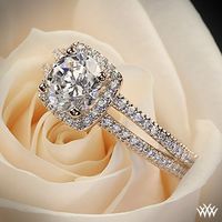 #Whiteflash #Verragio Rose Gold Verragio Split Shank Pave Diamond Engagement Ring from the Verragio Venetian Collection.postit to win it!